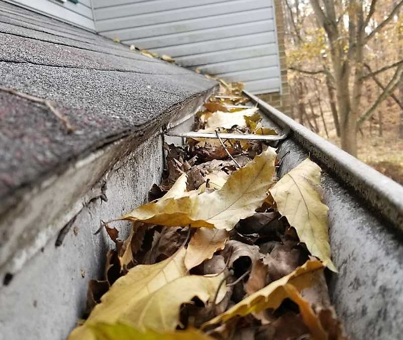 Gutter Cleaning